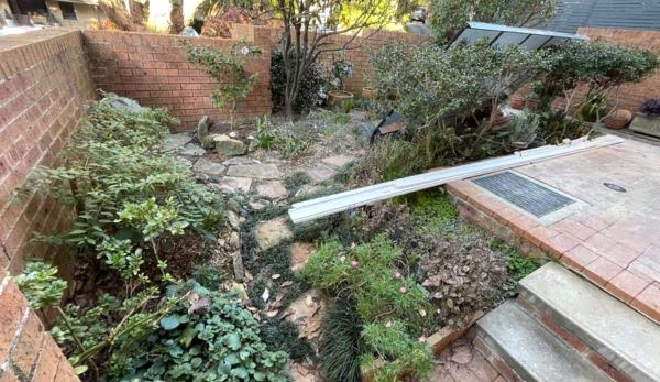 A beautifully manicured garden with synthetic turf in Dee Why.