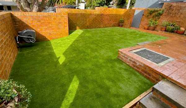 A beautifully manicured garden with synthetic turf in Dee Why.