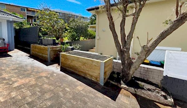 A beautifully designed raised garden bed created by Urban Growth Gardening on the Northern Beaches, Sydney.