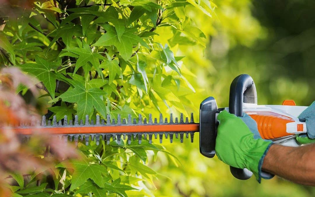 5 Easy Steps to Sharpen Your Hedge Trimmer for Pristine Results